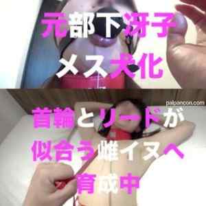 FC2-PPV-1497866 - 【数量限定2980pt→1980pt】元部下冴子（サエコ）に首輪とリードをつけてメス犬化計画第1弾 購入特典は高画質ZIPとモザイク崩壊版