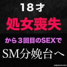 FC2-PPV-3176391 - 『処女喪失』、正真正銘の本物の処女喪失！『今回で見納めです』半年前まで高○３○生で処女喪失から半年で、初めてのカーSEX、SMホテルで分娩台にチャレンジ！！、１８才！個撮２９４