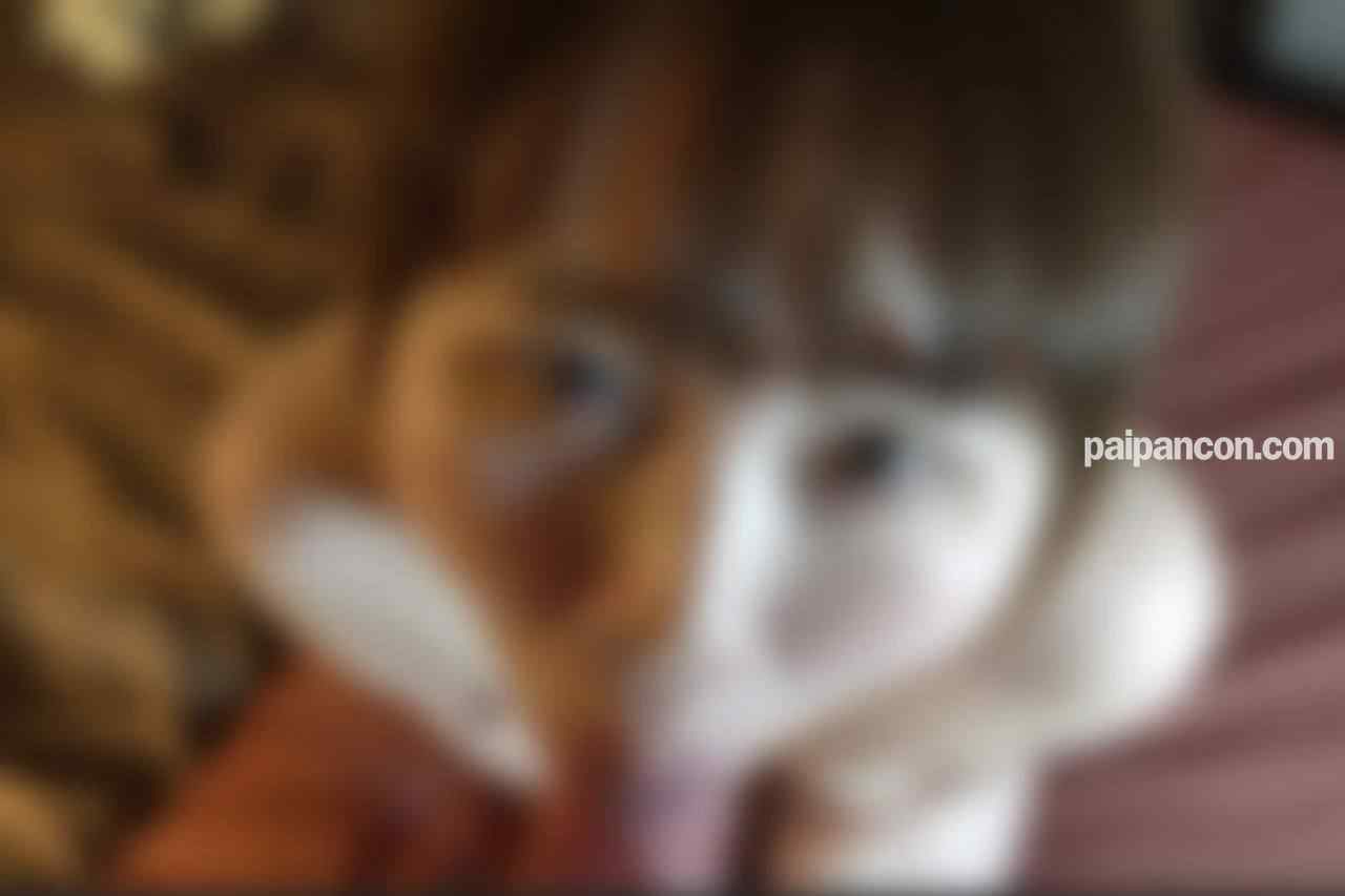 FC2-PPV-4186661 - ※初回数量限定930pt※【4K特典付き】【顔出し】【中出し】経営能力０で返済不可と感じましたので、ネイリストの美人人妻のアヘ顔晒します。 thumbnail_1.jpg