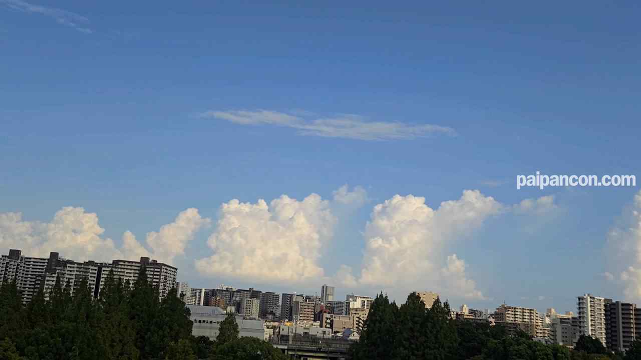 FC2-PPV-4519290 - 【個撮+屋外】都立商業科のゆめかわ系、校舎屋上フェラチオサポート2万円【4K画質】 thumbnail_2.jpg