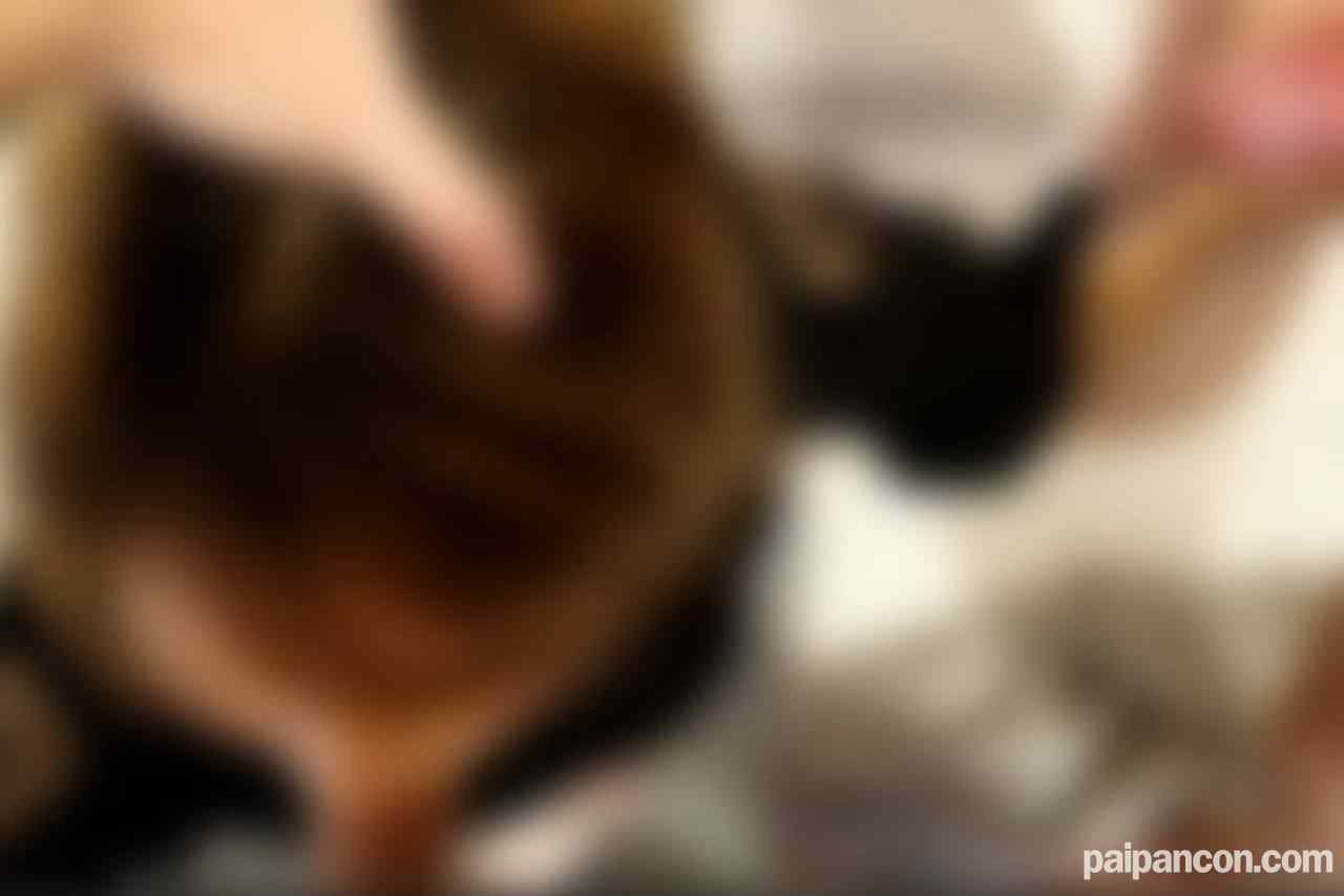 FC2-PPV-4577695 - ※12/2まで80％OFF※【顔出し】【３ｐ】【中出し】返済を頑張っていた人妻ですが、ここのところ遅れがちになってきたので、３ｐで激しめにオカしてもらいました thumbnail_1.jpg