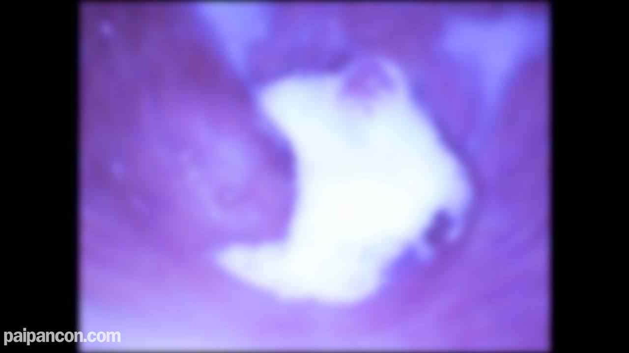 FC2-PPV-4631897 - ★特典で無修正と膣内カメラ ♀140 美顔でスレンダーで感度抜群で愛嬌もいい・笑顔もGOODなくろちゃんと中出しセックス！まだ出さないでもっと突いて！の懇願におじさんもたじたじ汗 thumbnail_9.jpg