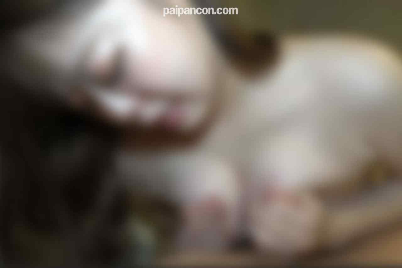FC2-PPV-4761204 - ※22日まで初回限定80％OFF※【初撮・顔出し】【無修正】初撮りの若妻出ました！借金しているのになぜか明るく生意気な人妻に肉棒入魂！ thumbnail_1.jpg