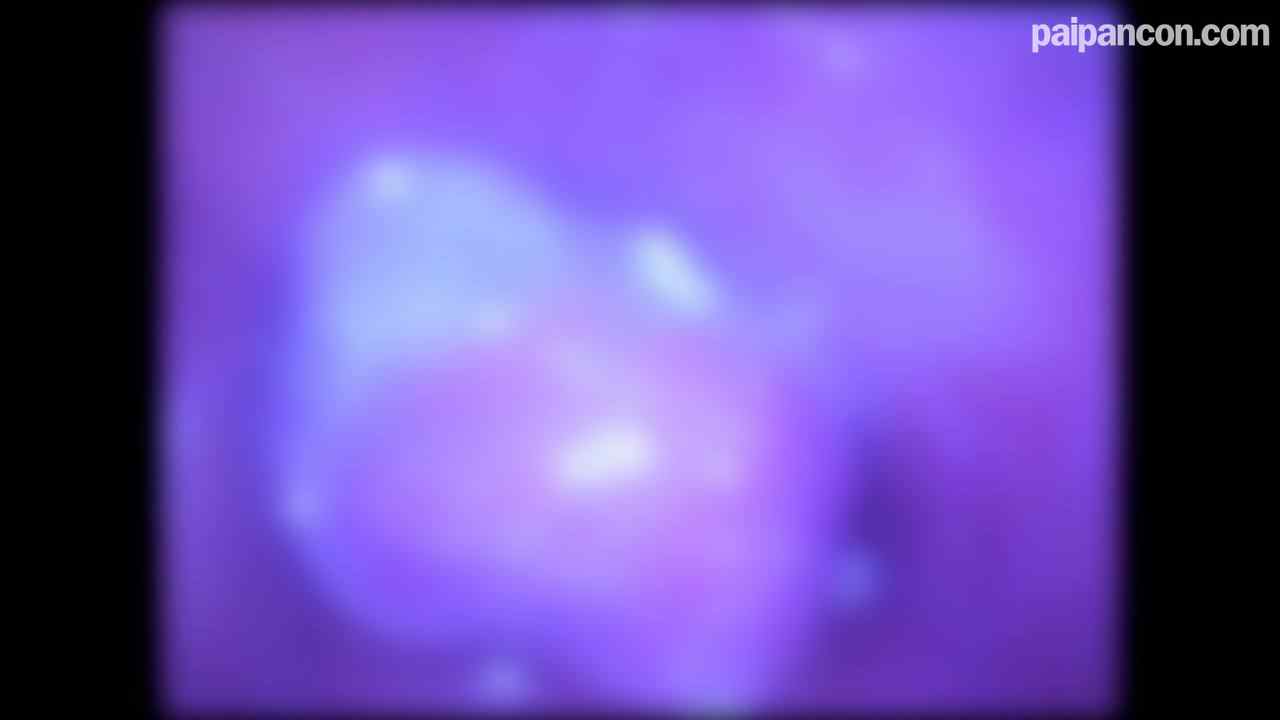 FC2-PPV-4816675 - ♀192 【初撮り】高すぎるので生半可な気持ちで買わないでください 素人レベルが高すぎるちょーかわいい美女よつはちゃんとの中だしセックス ★特典で無修正と膣内カメラ thumbnail_9.jpg