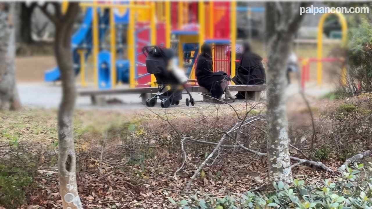 FC2-PPV-4821039 - 【個人】**友とお〇さんと公園で遊んでいた自称インフルエンサーの奥さんを連れ出し車の中で、、、 thumbnail_0.jpg