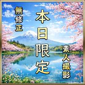 FC2-PPV-4852793 - 【先着割】【無】本日限定。素人撮影。巷で噂のあの美女のハメ撮りです。